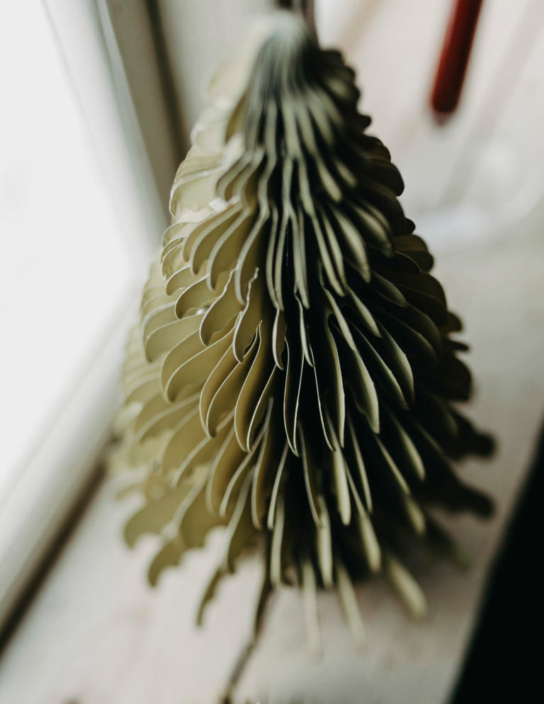 GRANSTAD Papiertannenbauch, beige